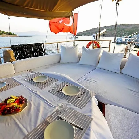 Tekne Luxury Boat In Marina *