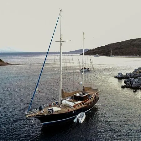 Luxury Boat In Marina 博德鲁姆